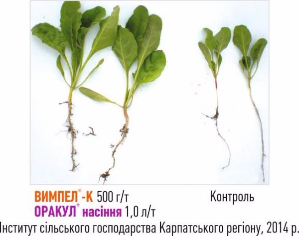 Стимулятори та добрива – тільки якісні та перевірені