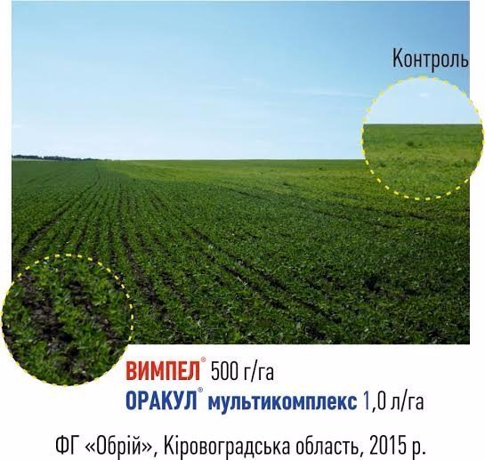 Стимулятори та добрива – тільки якісні та перевірені