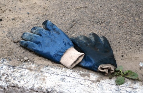 У Луцьку згорів автомобіль. ФОТО