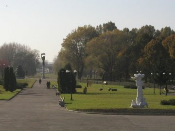 Озеленення Володимира обійдеться бюджету в мільйон