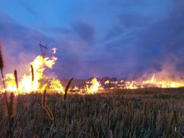 На Волині за спалювання стерні покарали чотирьох селян 