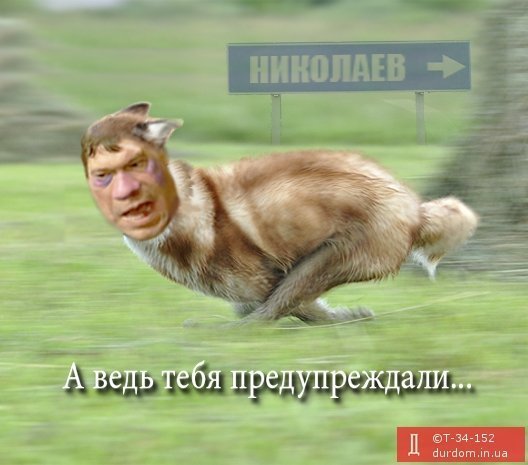 Регіонал Царьов - «зірка» тижня у фотожабах