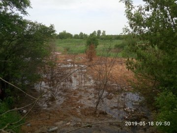 «Знищує все на своєму шляху»: зі сміттєзвалища на Волині витікає отруйний фільтрат