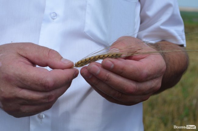 Громада на два райони: як живе унікальна волинська ОТГ. ФОТО