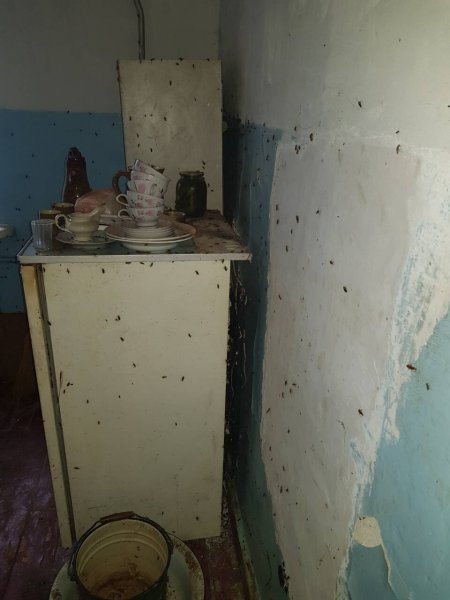 Бруд, таргани і миші: у Ковелі пенсіонерка перетворила квартиру на смітник. ФОТО