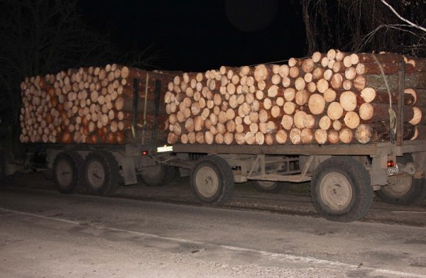 На Волині затримали авто з краденим лісом. ФОТО