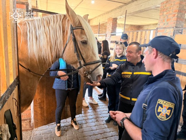 Волинські рятувальники відновлювалися за допомогою оздоровчої верхової їзди. ФОТО