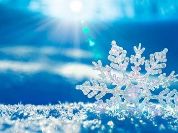 Погода в Луцьку та Волинській області на четвер, 22 грудня