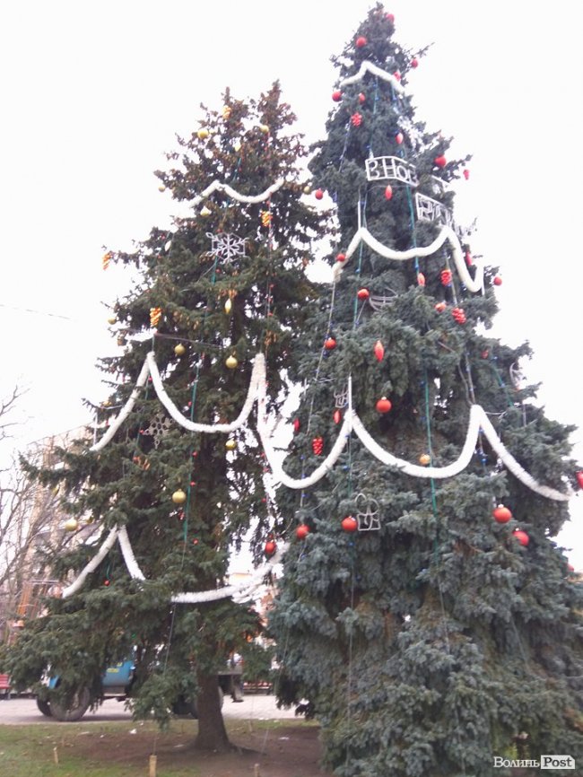 Біля луцької міськради прикрасили ялинку. ФОТО