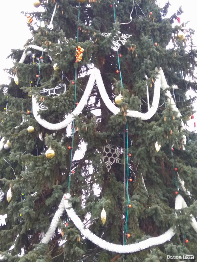 Біля луцької міськради прикрасили ялинку. ФОТО