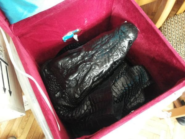 «Скарби» Януковича з Межигір’я перевезли в музей. ФОТО. ВІДЕО