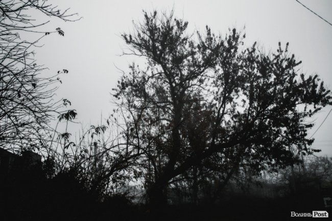 Туманний Луцьк: неймовірні фото 