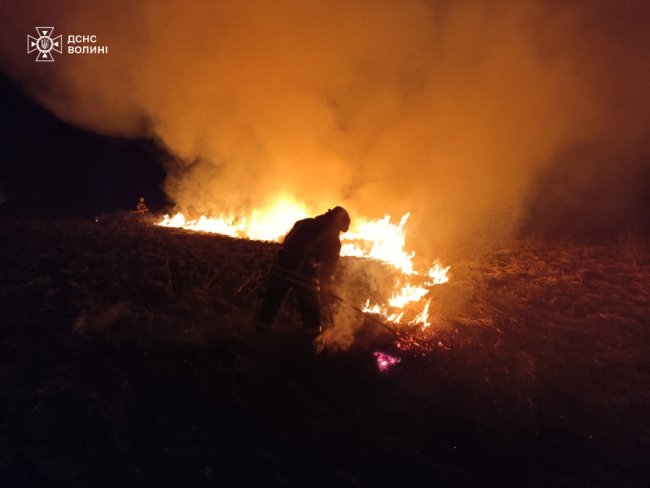 Волинь - у вогні: рятувальники погасили 13 пожеж сухої трави на 16 га. ФОТО