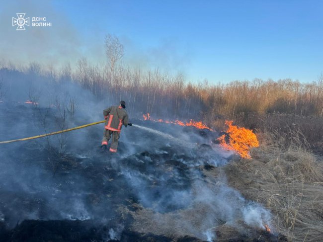 Волинь - у вогні: рятувальники погасили 13 пожеж сухої трави на 16 га. ФОТО