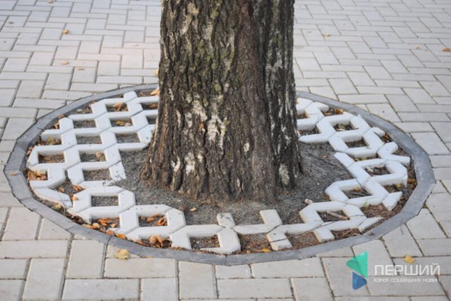 «Снігові» дерева, LED-ліхтарі: у центрі Луцька завершують новий сквер. ФОТО