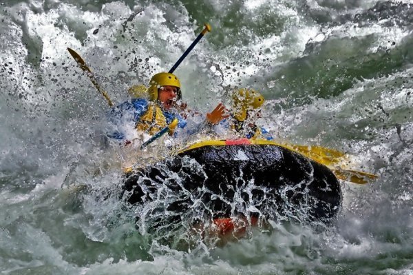 Вдало спіймана мить. ФОТО