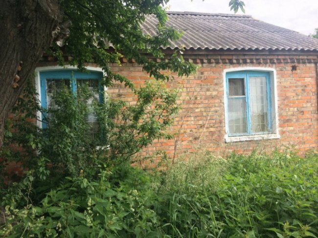 Колись людне село на Волині перетворилось на хутір, де проживає лише дві людини. ФОТО