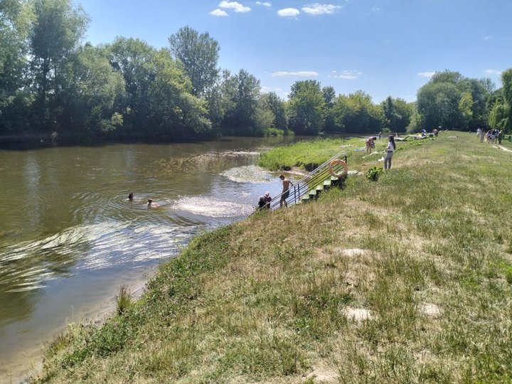 Купальний сезон у Луцьку: чому не почистили річку Стир від водоростей. ВІДЕО