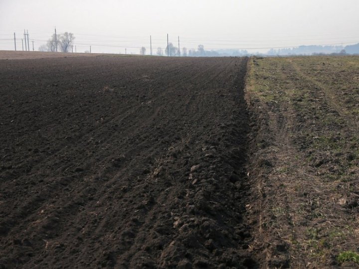 На Волині проведуть аудит сільськогосподарських земель