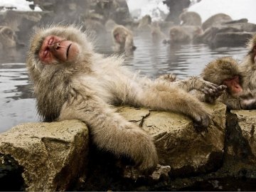 Чому сьогодні треба покупатися в джерелі: прикмети і забобони