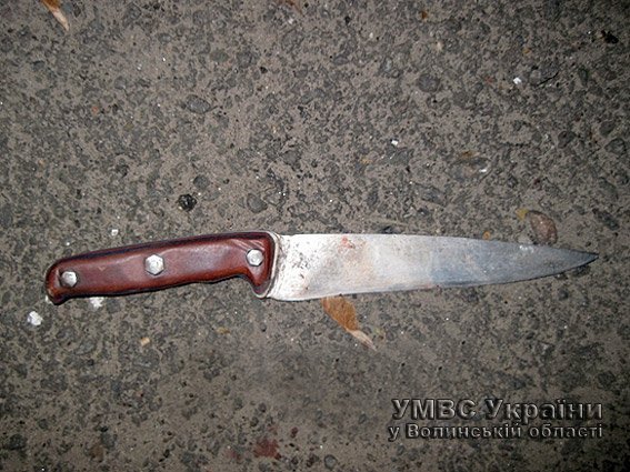 За вбивство волинянина батька із сином засудили на 15 років. ФОТО