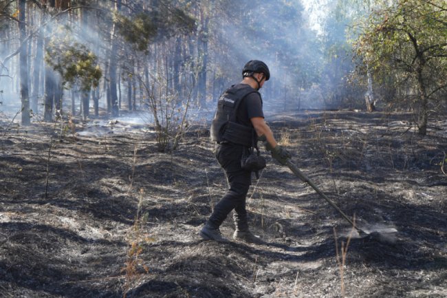 На Донеччині розміновують територію два відділення волинян