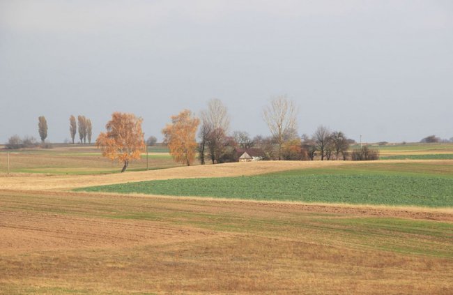 Осінньо-зимові пейзажі на світлинах волинського фотографа
