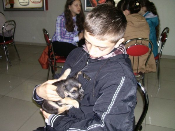 У Луцьку запровадили «уроки» гуманності