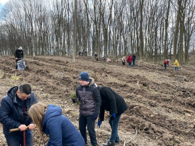 На Волині буде «сонячний ліс» від «сонячних дітей».ФОТО