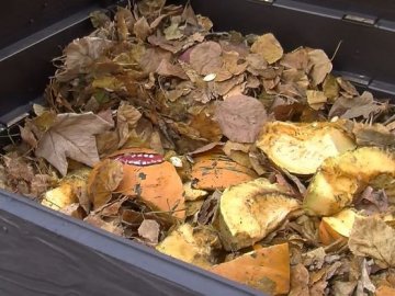 Що таке компостер і яка від нього користь: пояснення луцького еколога