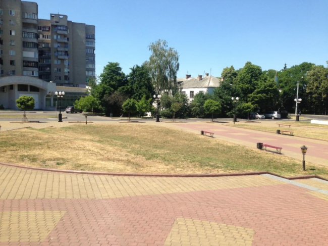 Місто поступово стає пустелею, - лучанина обурила вистрижена «під нуль» трава