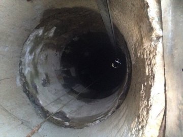 У селі під Луцьком «зловили» чоловіка, який скидав у колодязь мертвих тварин