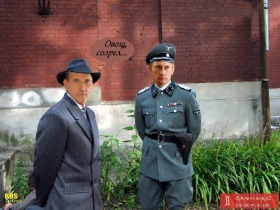 Інтернет обурюється призупинкою євроінтеграції і звинувачує владу. ФОТО