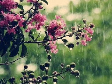 Погода у Луцьку на завтра, 8 травня