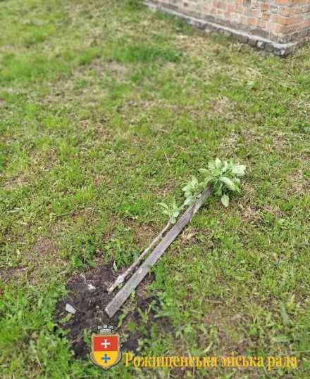 У місті на Волині вандали понищили молоді дерева та майданчик на території дитсадка