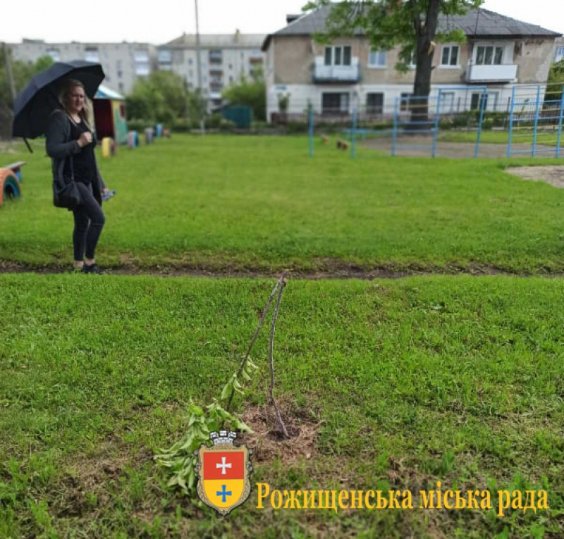 У місті на Волині вандали понищили молоді дерева та майданчик на території дитсадка