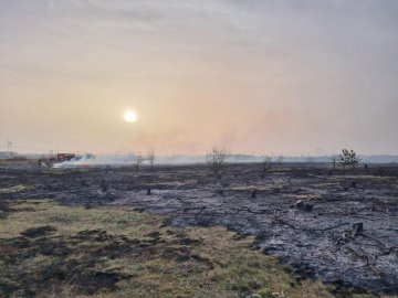 На Волині горіло 1,5 га сухостою. ФОТО