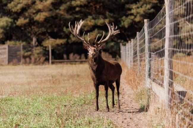 Відкриваємо Волинь: найкращі місця для відпочинку