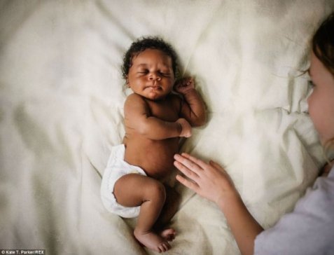 Життя від народження до всиновлення. ФОТО