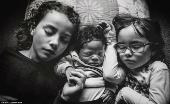 Життя від народження до всиновлення. ФОТО