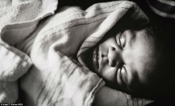 Життя від народження до всиновлення. ФОТО