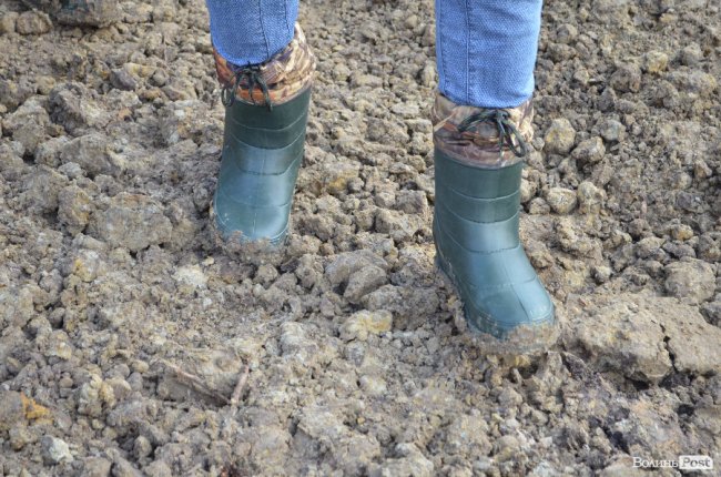 Лісівники показали, як підкорюють волинські джунглі. ФОТО