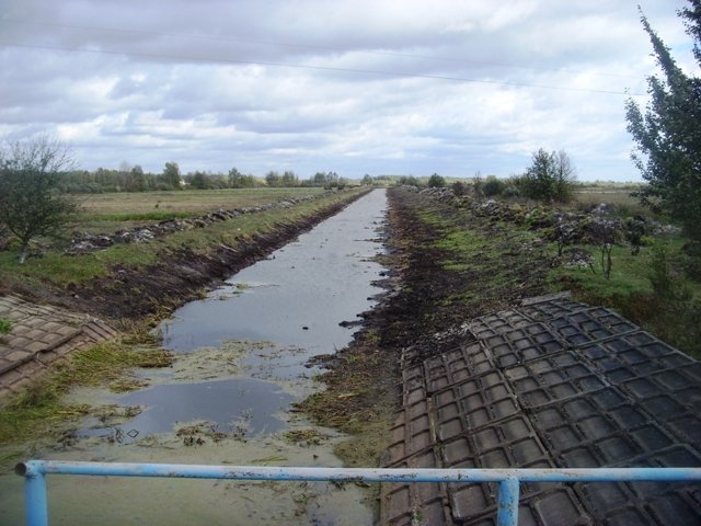 На Волині взялися за річку, яку не чистили від мулу 30 років. ФОТО