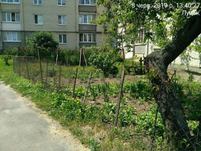 У Луцьку муніципали зноситимуть старі паркани, сараї та халабуди. ФОТО