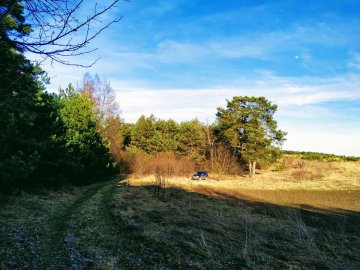 У «волинських Карпатах» організовують толоку