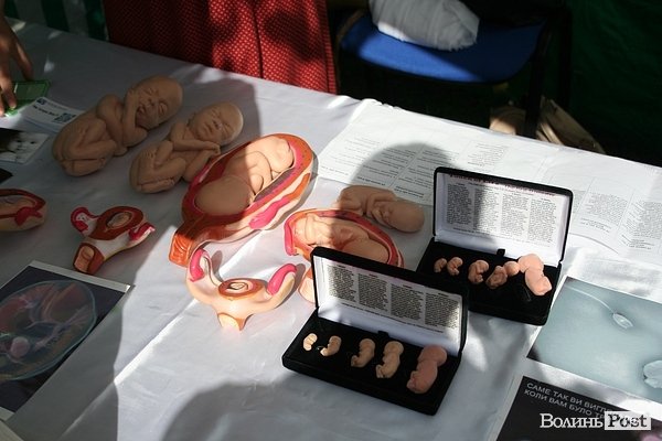 «Фестиваль сім’ї» у Луцьку. ФОТО