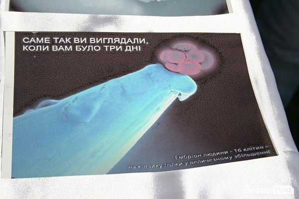 «Фестиваль сім’ї» у Луцьку. ФОТО