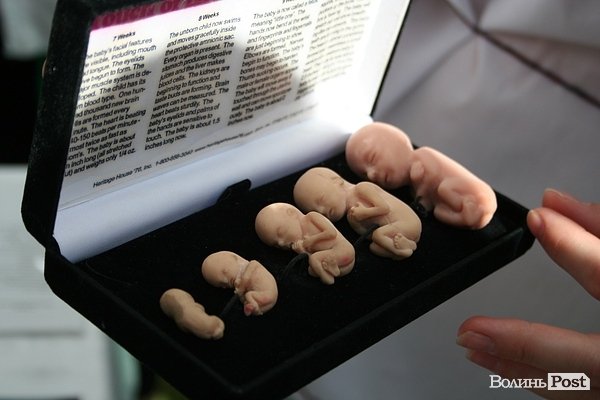 «Фестиваль сім’ї» у Луцьку. ФОТО