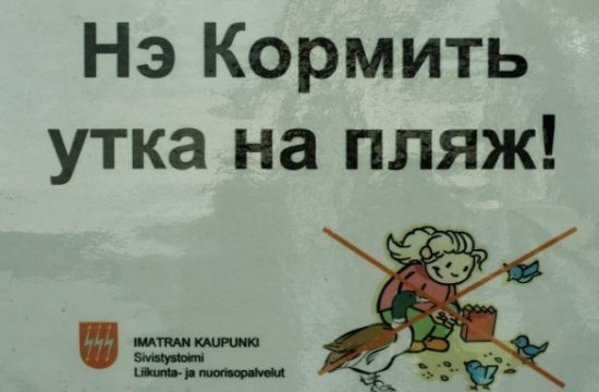 Десь на фінських пляжах говорять з неповторним кавказьким акцентом