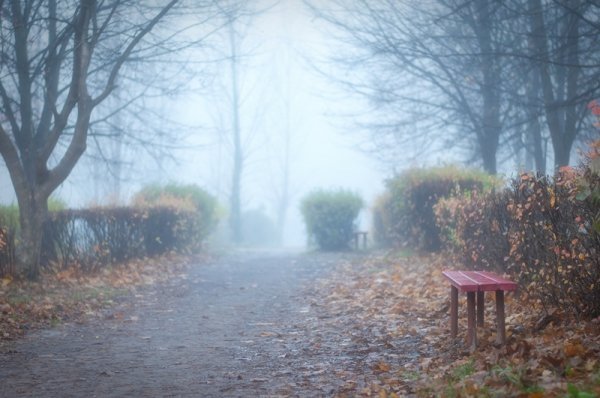 Фотовиставка Олександра Шишкіна